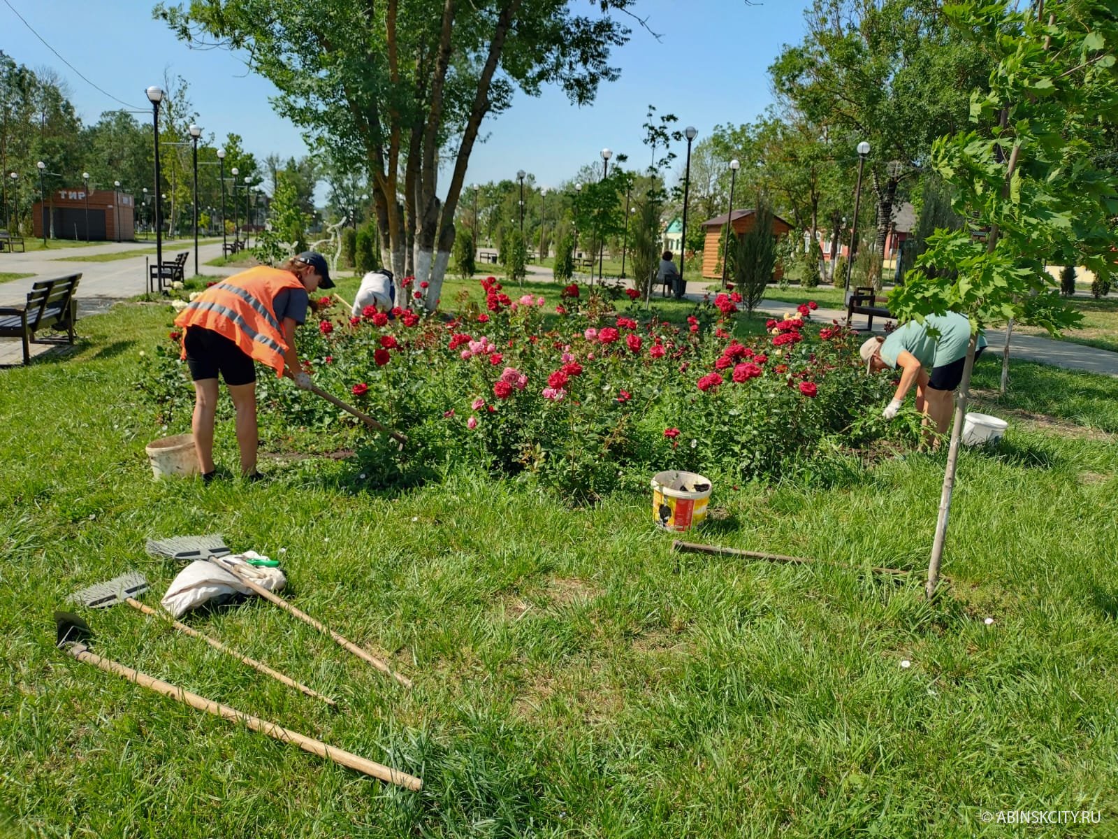 Новости » Страница 8 » Абинское городское поселение